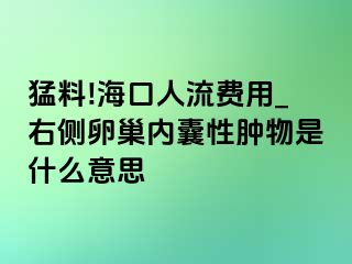 猛料!海口人流费用_右侧卵巢内囊性肿物是什么意思