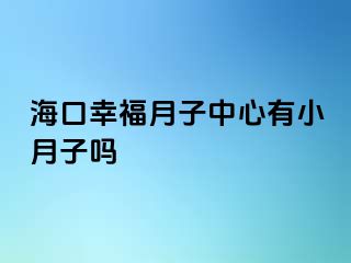 海口幸福月子中心有小月子吗